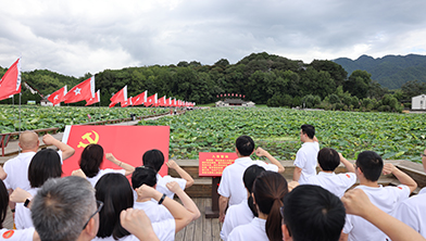 2024澳门原材料1688金算盘